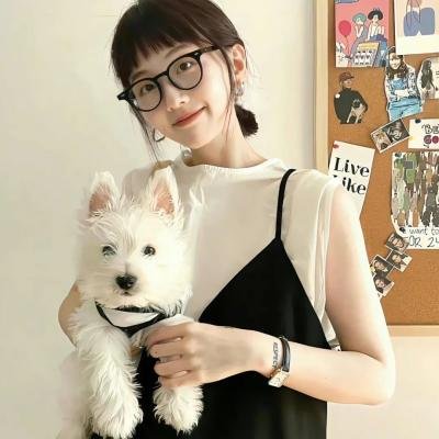 我们曾是炸弹客